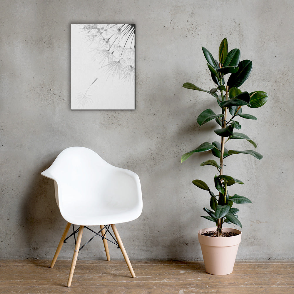 dandelion - Canvas