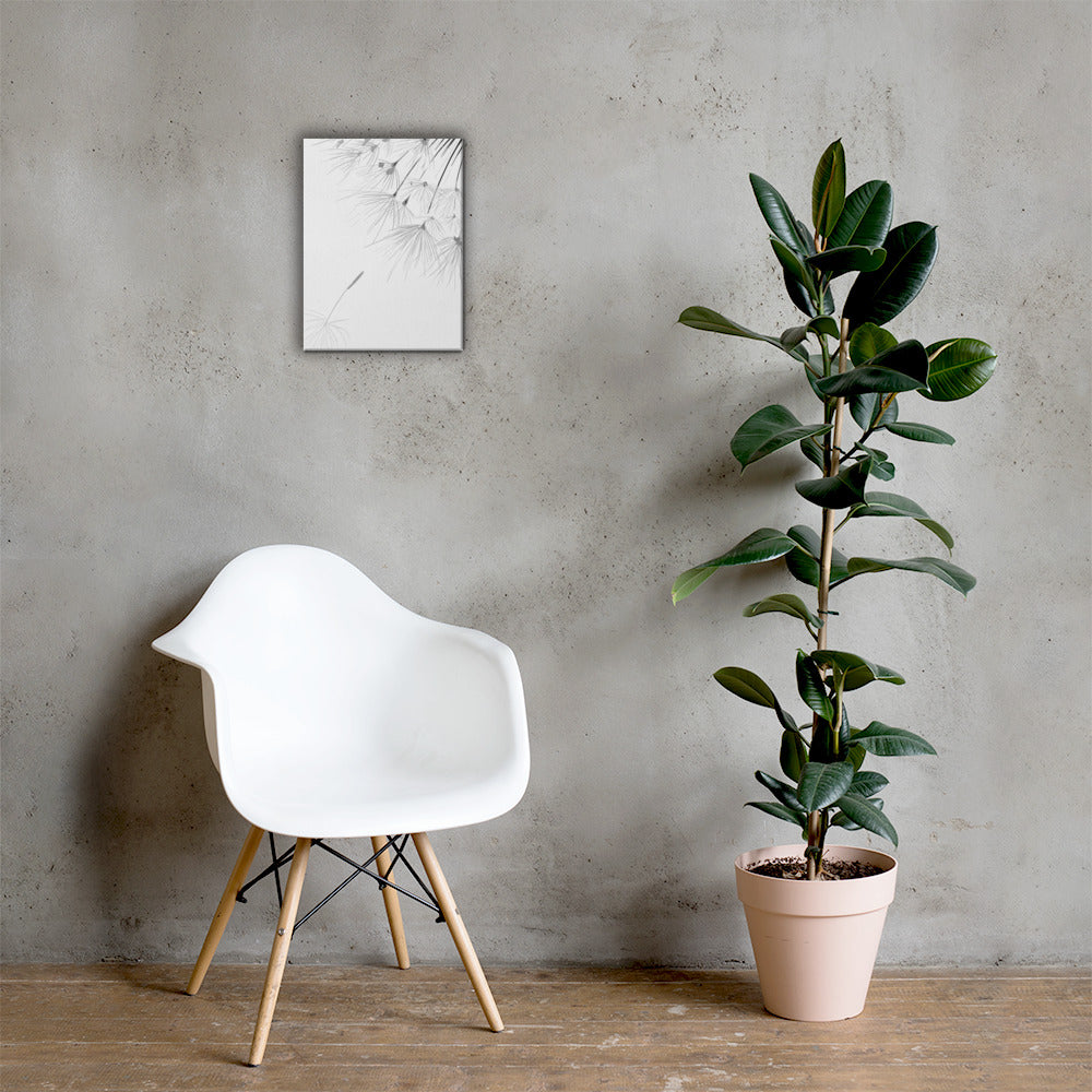 dandelion - Canvas