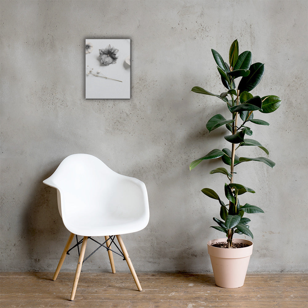whiteblossoms - Canvas