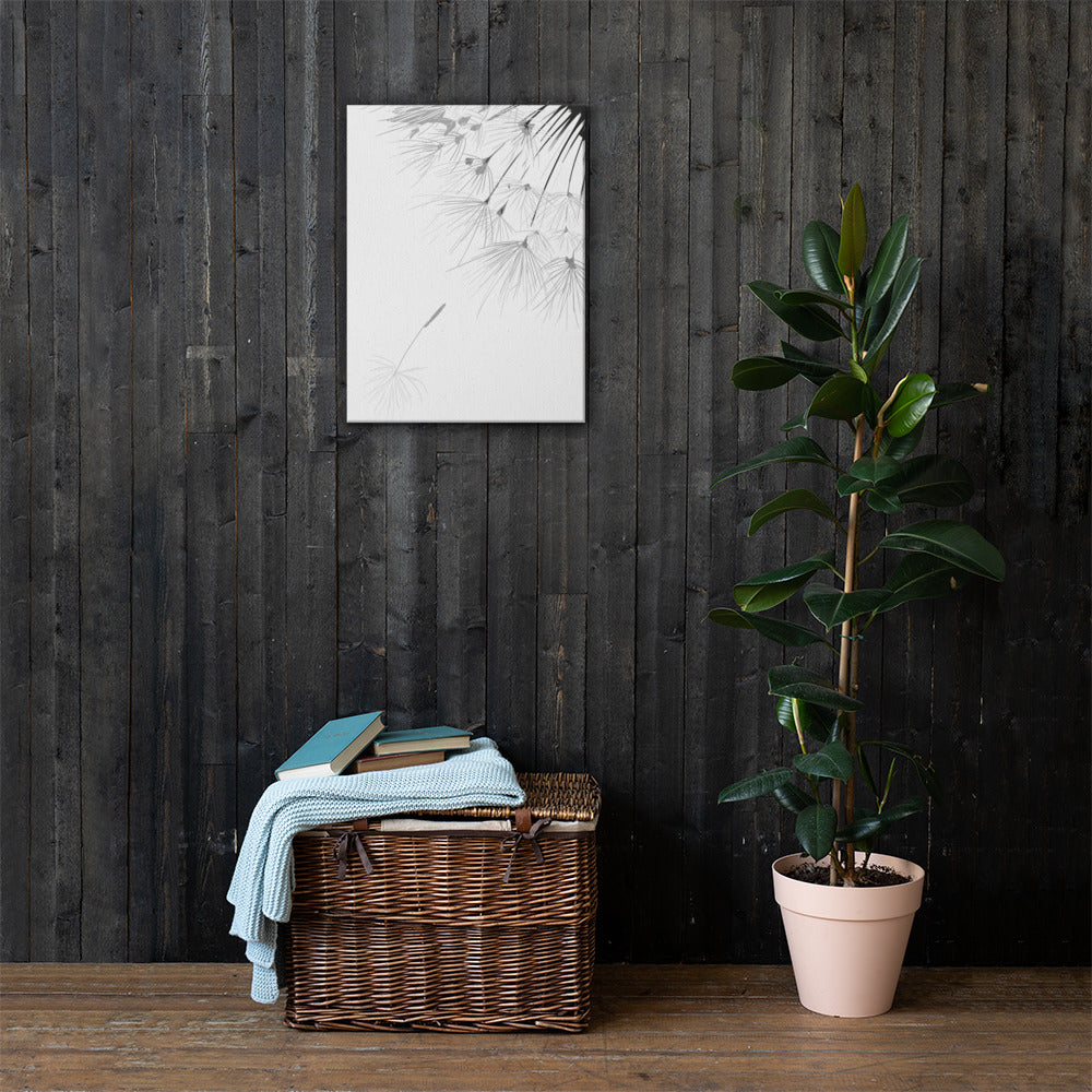 dandelion - Canvas