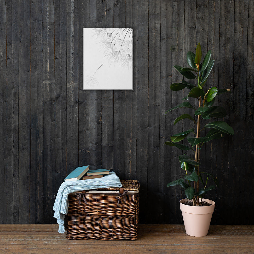 dandelion - Canvas