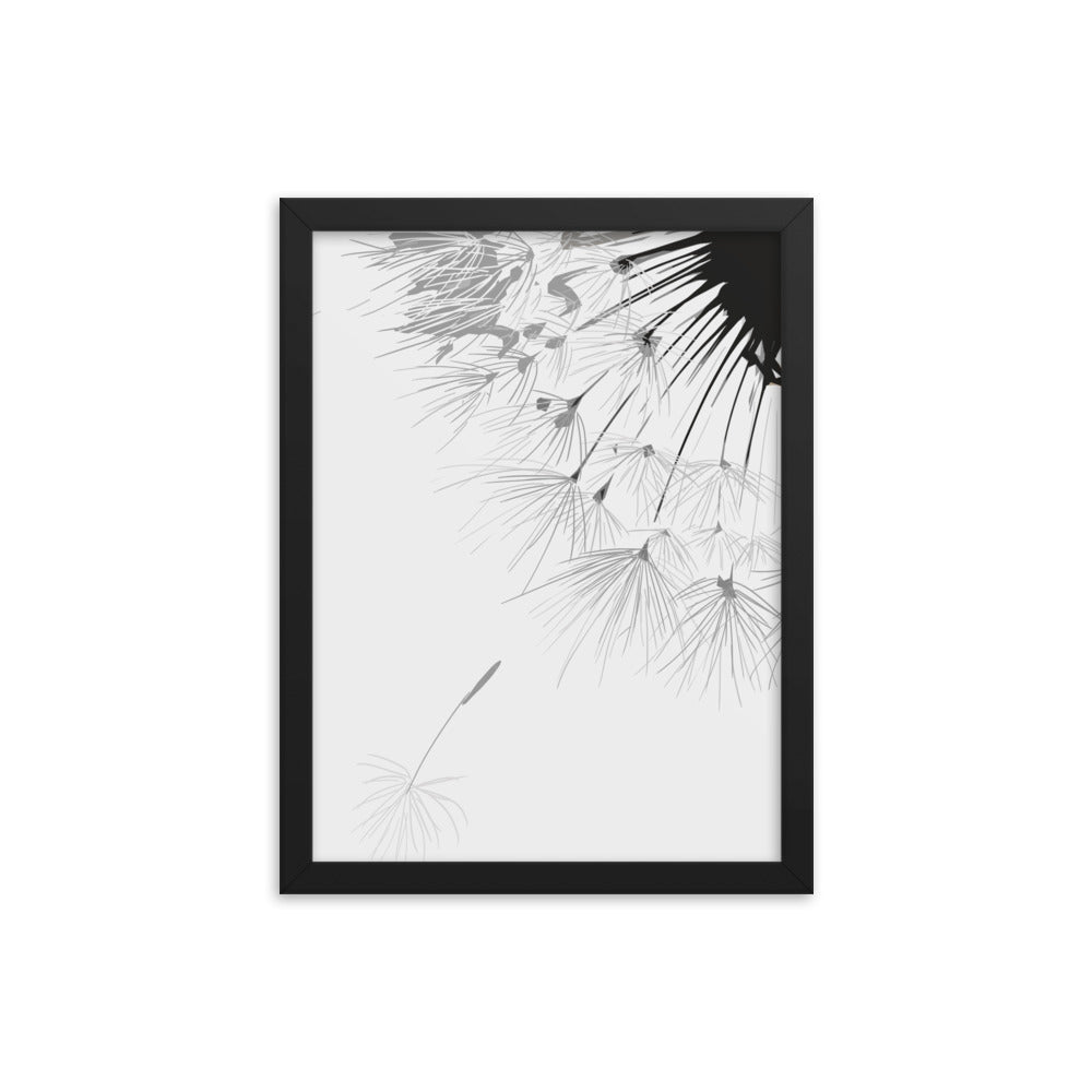 dandelion - Framed poster