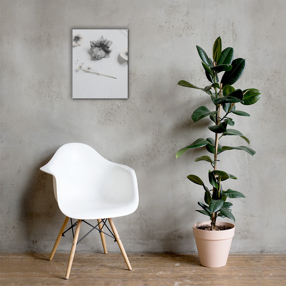 whiteblossoms - Canvas