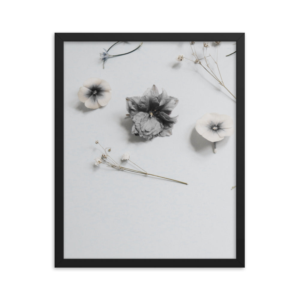 whiteblossoms - Framed poster