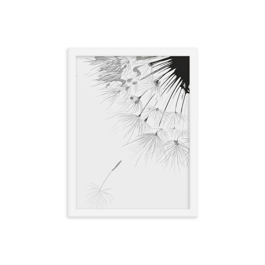 dandelion - Framed poster